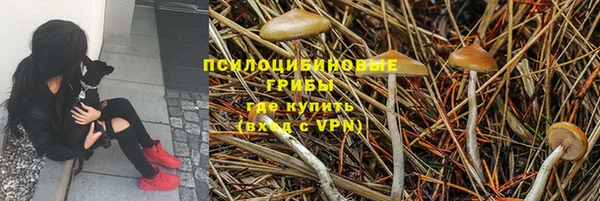 дживик Липки