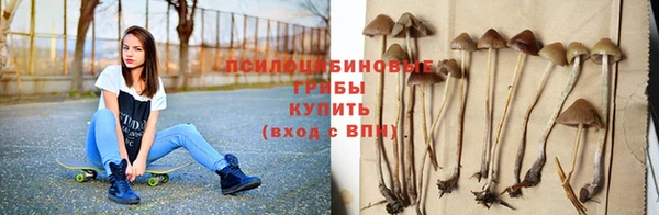дживик Липки