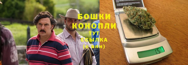 дживик Липки