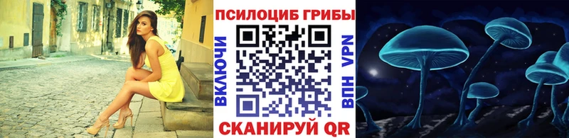 Галлюциногенные грибы прущие грибы  Жердевка 